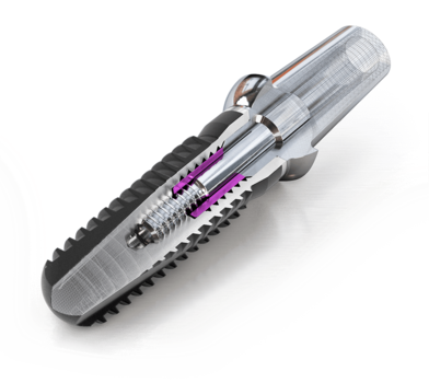 Sección transversal de la conexión implante-pilar de CAMLOG SCREW-LINE CAMLOG Screw-Line Implant abutment connection cross-section