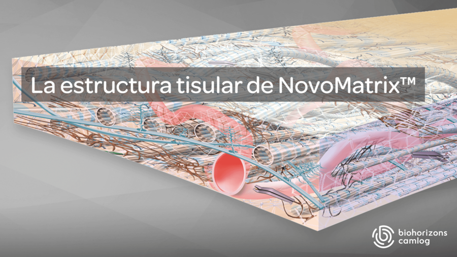 NovoMatrix la estructura tisular ES